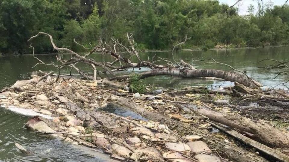 Foto Ekologick Katastrofa Na Malom Dunaji Vydesila Ryb Rov Pre O Je