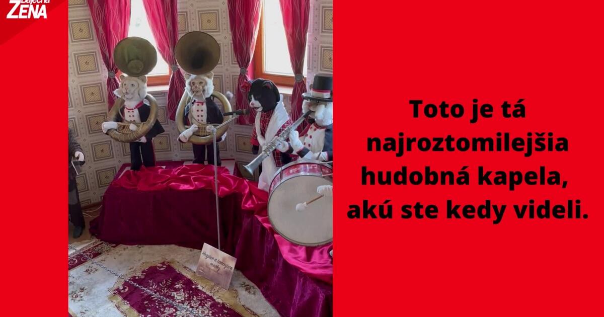 Toto je tá najroztomilejšia kapelu akú ste kedy videli