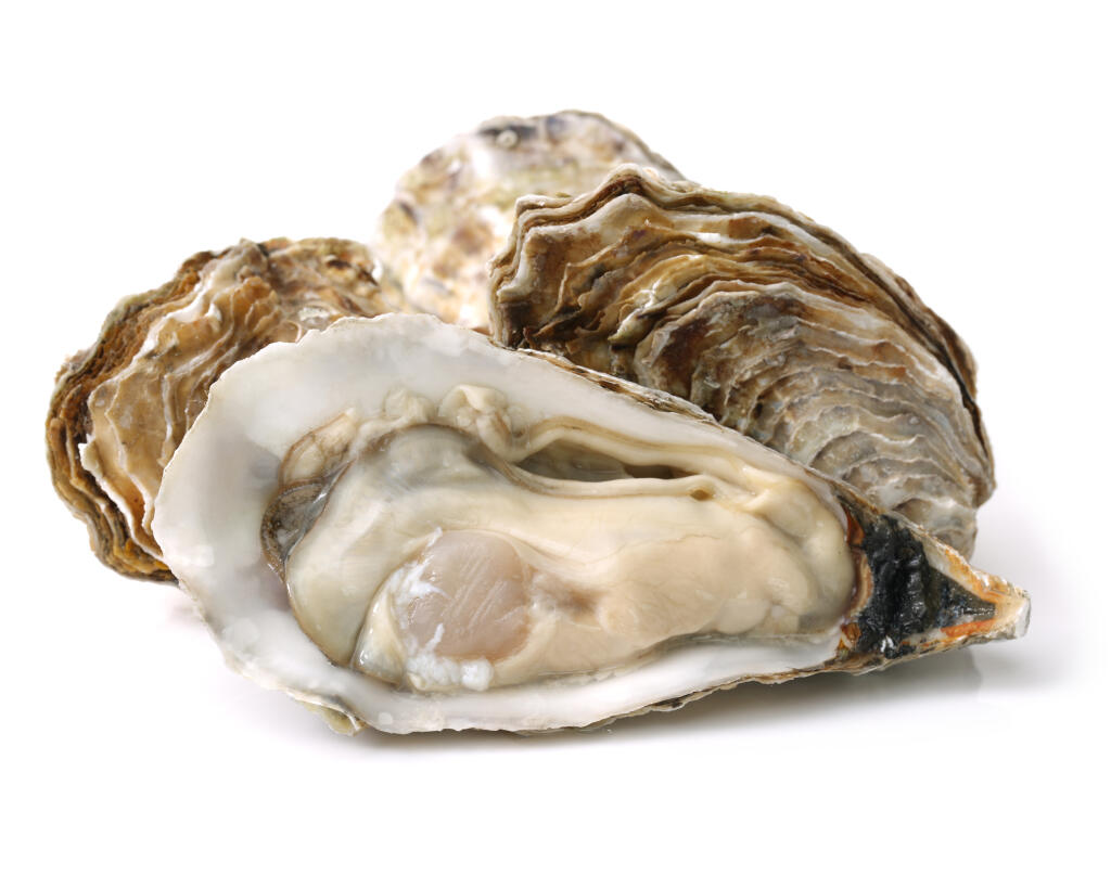 Fresh,Opened,Oyster,On,White,Background