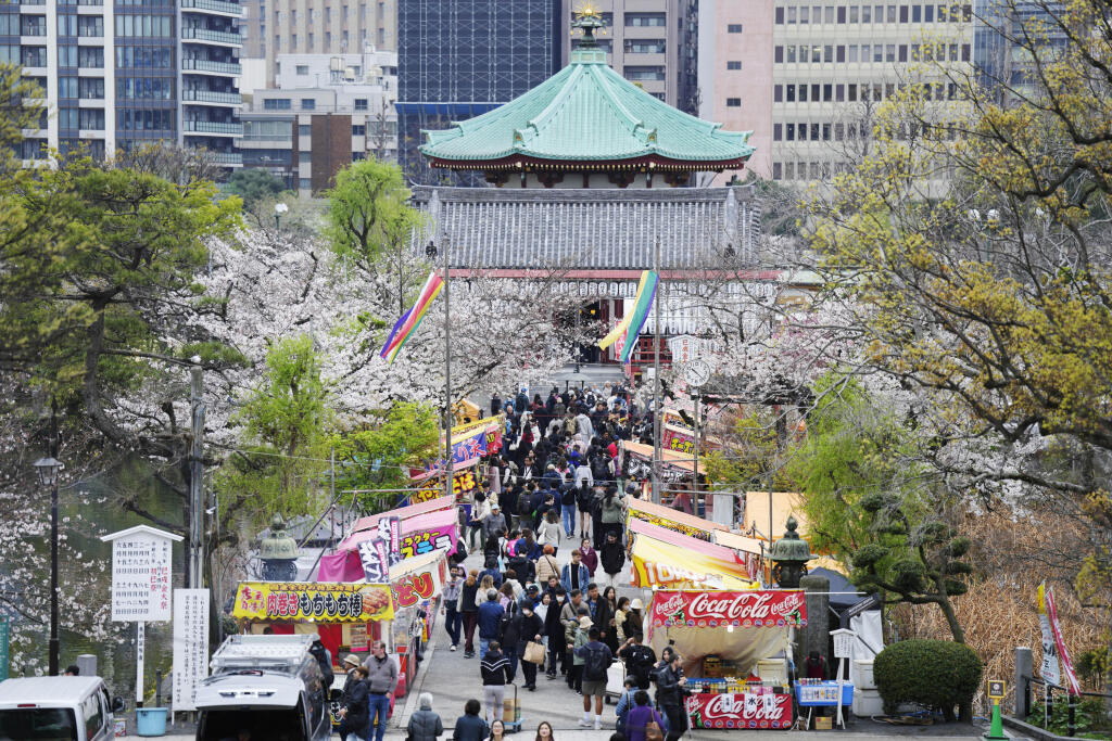 KK37 Tokio - Návštevníci sa prechádzajú okolo rozkvitnutých čerešní v parku Ueno v Tokiu 5. apríla 2024. FOTO TASR/AP
Visitors stroll the seasonal cherry blossoms at the Ueno Park Friday, April 5, 2024, in Tokyo. Crowds gathered Friday in Tokyo to enjoy Japanâ€™s famed cherry blossoms, which are blooming later than expected in the capital because of cold weather.(AP Photo/Eugene Hoshiko)
