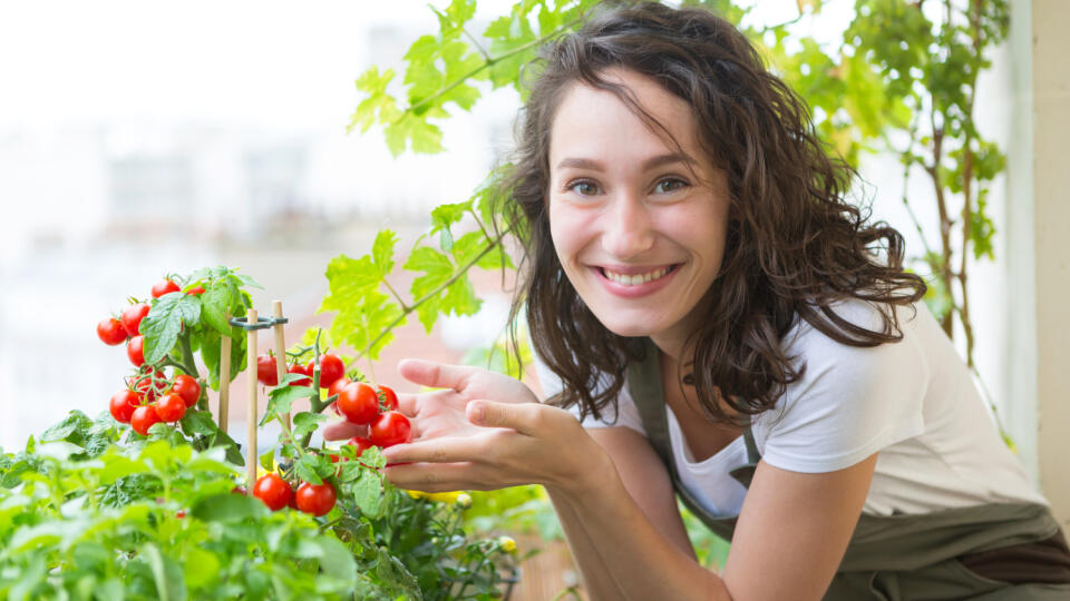 Young,Woman,Taking,Care,Of,Her,Plants,And,Vegetables,On