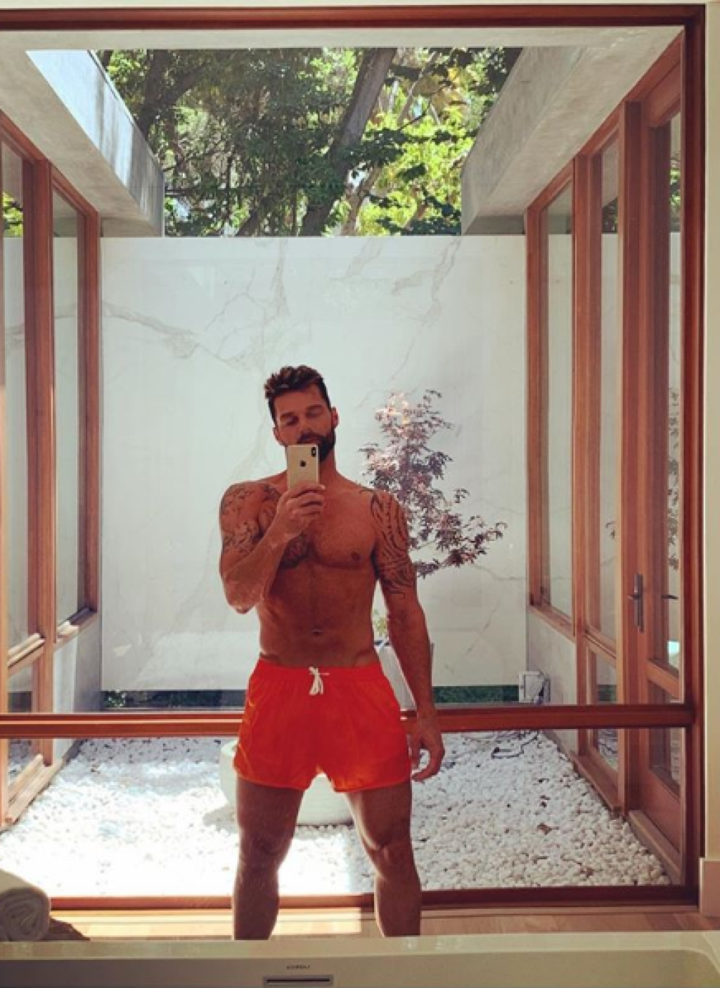 Ricky Martin