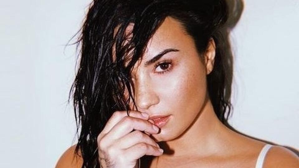 Demi Lovato (27)