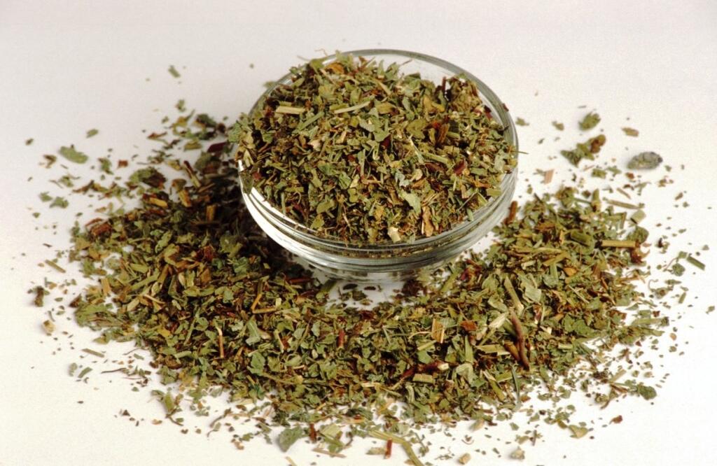 Veronika lekárska (Veronica officinalis) má liečivé účinky pri zápaloch močového mechúra