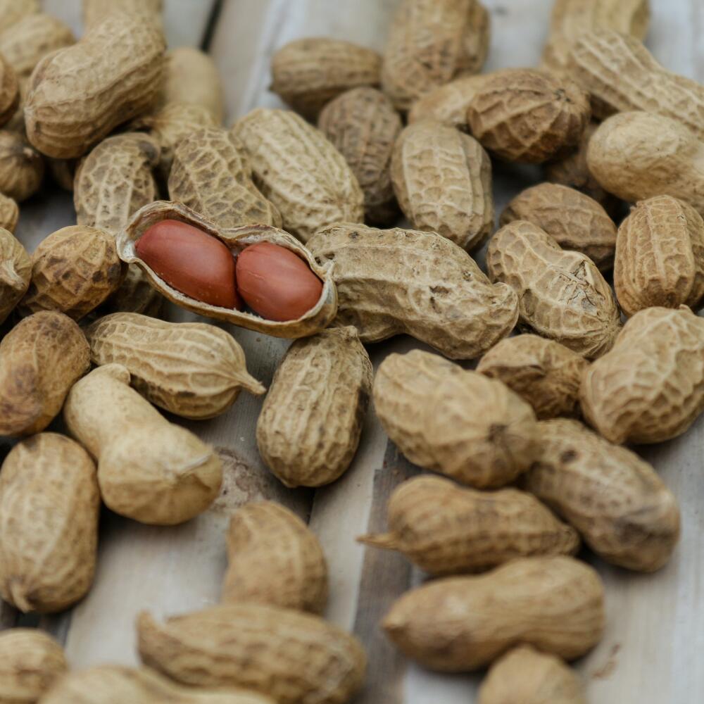 Arašidy