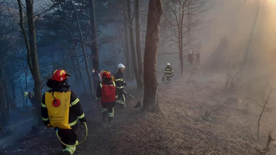 Viac ako 40 hasičov momentálne zasahuje pri požiari lesa v ťažko dostupnom teréne v katastri obce Domaniža v Šibeničnej doline v okrese Považská Bystrica.