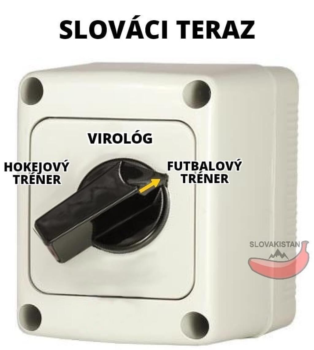 Slovenskí futbalisti vykročili do európskeho šampionátu víťazstvom nad Poľskom 2:1 a ako sme si už po zápasoch zvykli, internet zaplavilo množstvo vtipov.