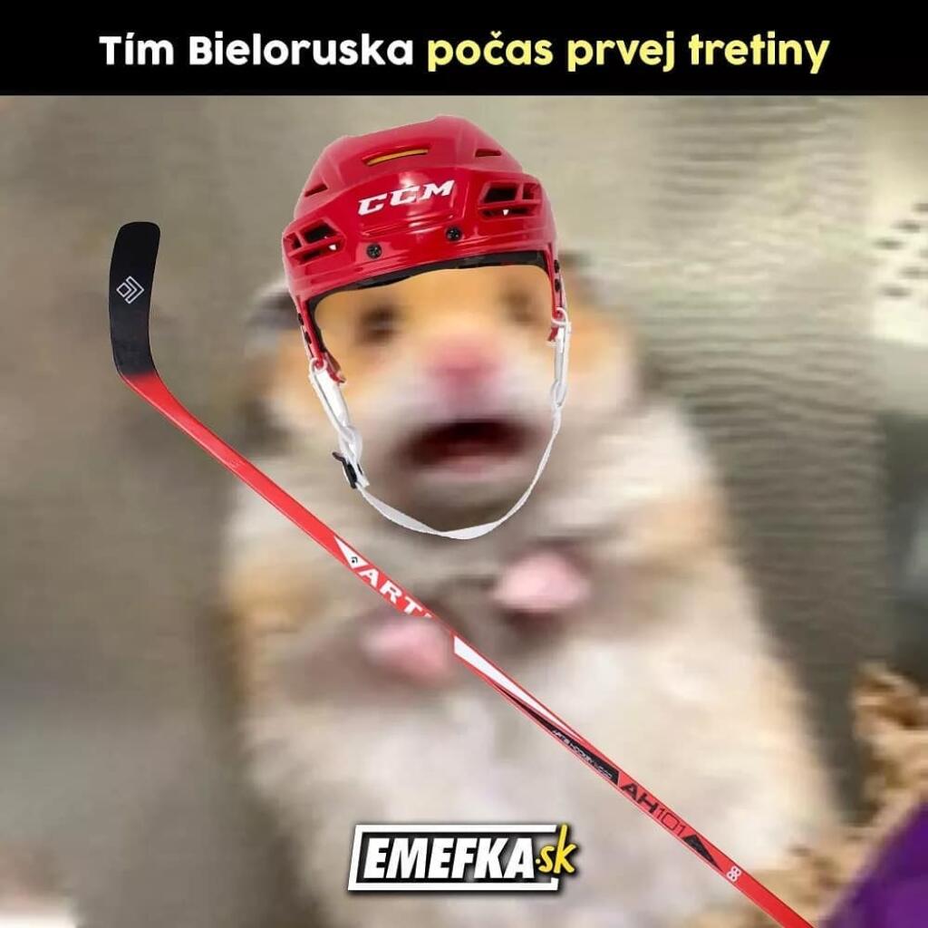 Majstrovstvá sveta v hokeji neprinášajú len krásne góly a súboje o víťazstvá, ale aj množstvo vtipov.