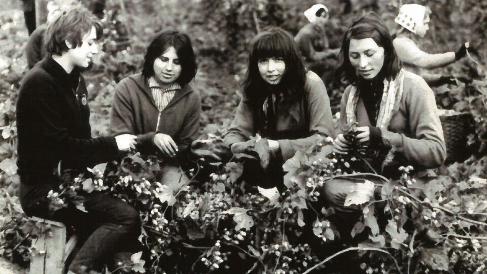 Túto fotografiu z roku 1966 nám poslala Juliana Jarábková z Levíc.