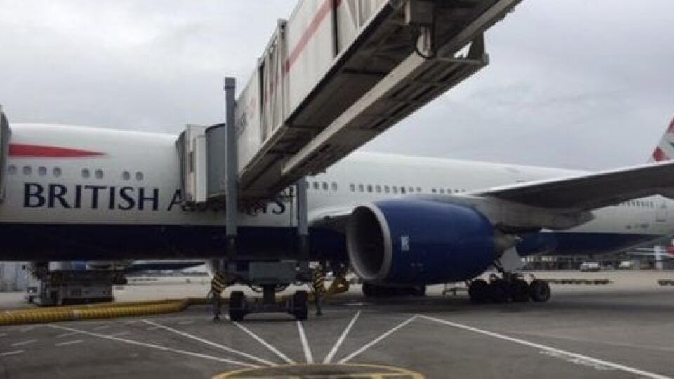 Spoločnosť British Airways sa ospravedlnila a dodala, že ju tešilo, že na palube lietadla sa už po vzlietnutí nachádzali iba dvojnohí pasažieri.