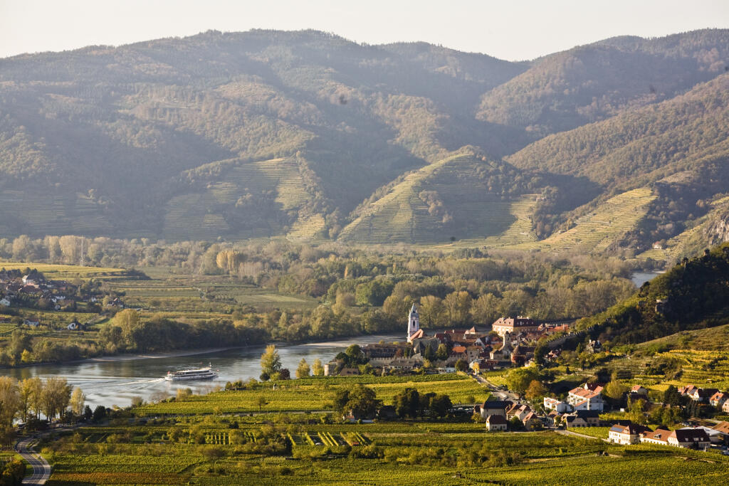 pôvodný súbor:0020 vinohrady a kravy Wachau a ine.jpg