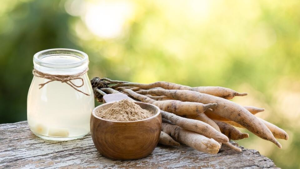 Shatavari,Or,Asparagus,Racemosus,Roots,,powder,And,Juice,On,Nature