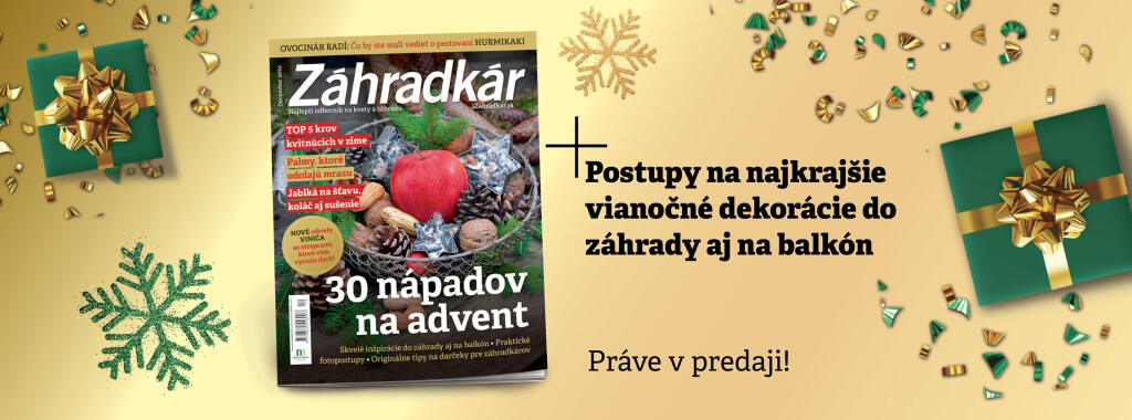 Časopis Záhradkár - december 2020 v predaji od 9.11.2020