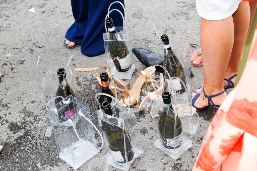 Keď sa hrdé anglické paničky menia na zvieratá. Stačí im alkohol a prestížne podujatie.