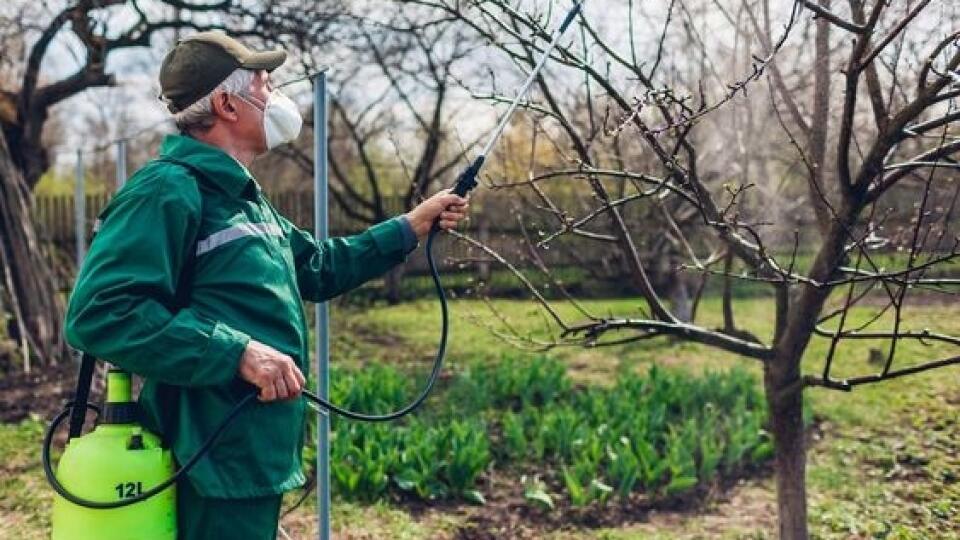 Prax ukázala, že ovocný strom možno chrániť oveľa efektívnejšie vtedy, keď je počet škodcov najmenší a sú najmenej aktívne.