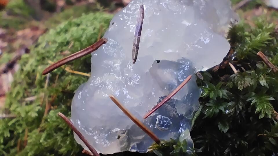 V Poľsku sa objavil záhadný sliz.