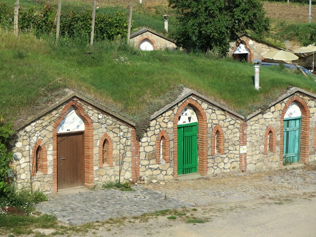 Vrbice.