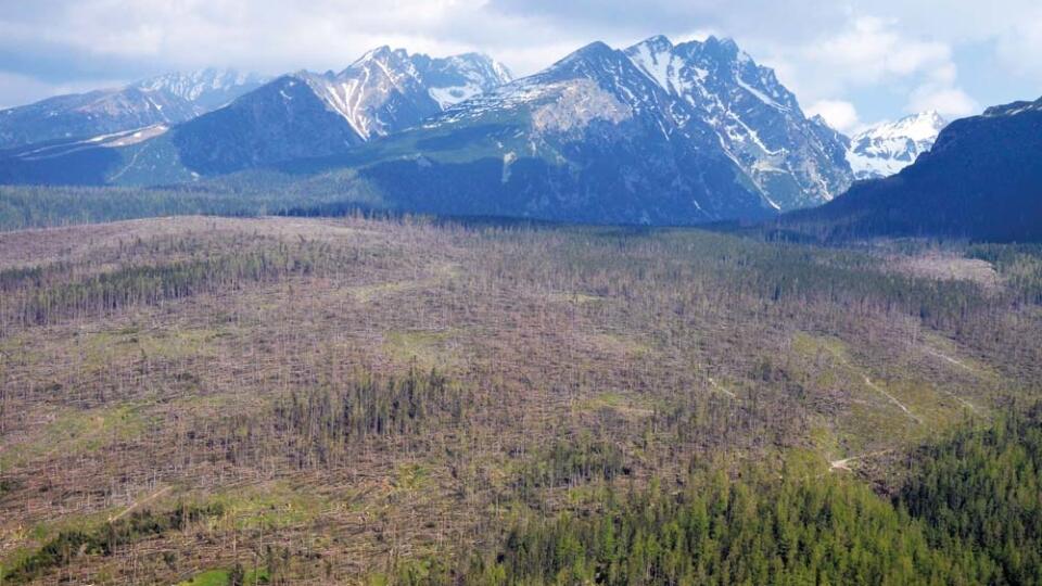 VYSOK… TATRY: NŠsledky kalamity