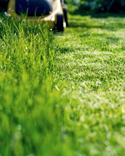 10 krokov, ktoré musíte spraviť pre perfektný trávnik