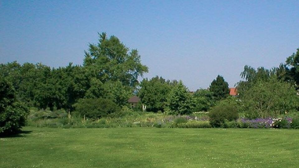 Archív