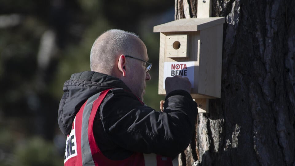 Na snímke osadenie jednej z búdok pre drobné mestské vtáky predajcom Nota bene v záhrade Prezidentského paláca 18. decembra 2019 v Bratislave. ca 18. decembra 2019 v Bratislave.