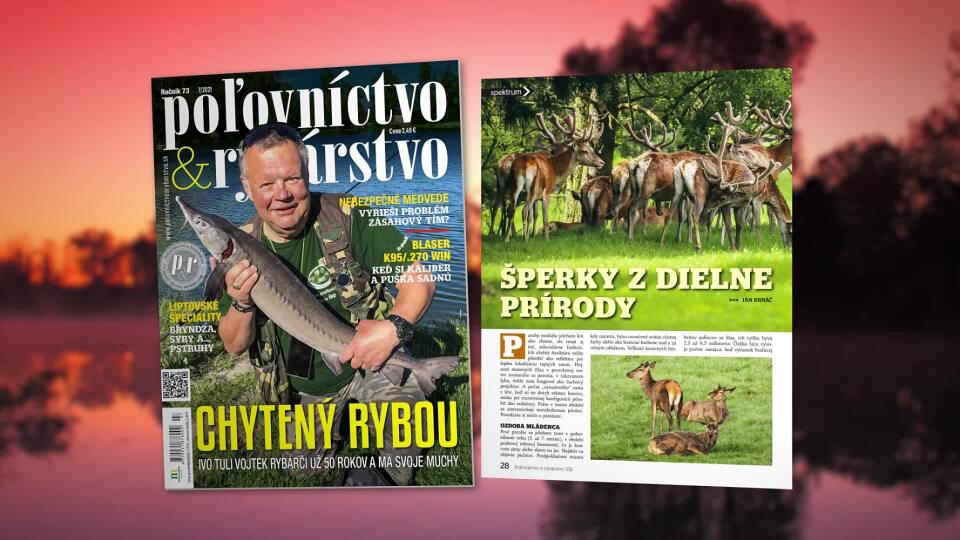 Nové letné číslo PaR 7/2021 máme tu! A naozaj sa máte na čo tešiť!