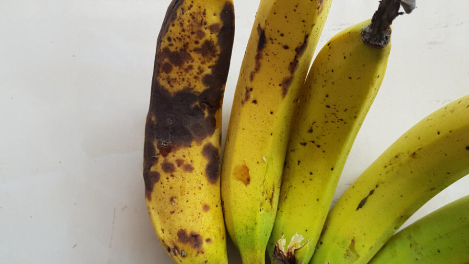 Anthracnose,Disease,On,Riped,Banana,Fruit,In,Viet,Nam.