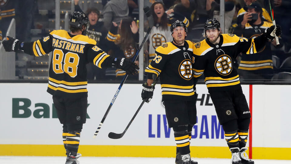 Slovenský brankár Jaroslav Halák a český útočník David Pastrňák boli ústredné postavy Bostonu Bruins v pondelňajšom zápase hokejovej NHL s Anaheimom Ducks.