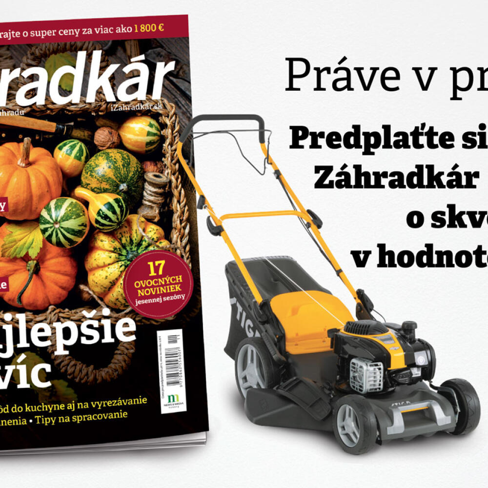Vyhrajte s predplatným Časopisu Záhradkár.