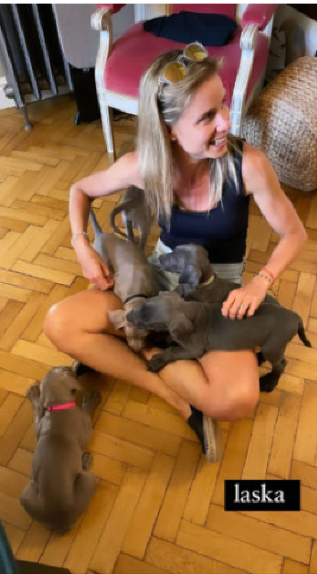 Nela Pocisková s rodinou sa rozhodli zaobstarať si šteniatko menom Lana.