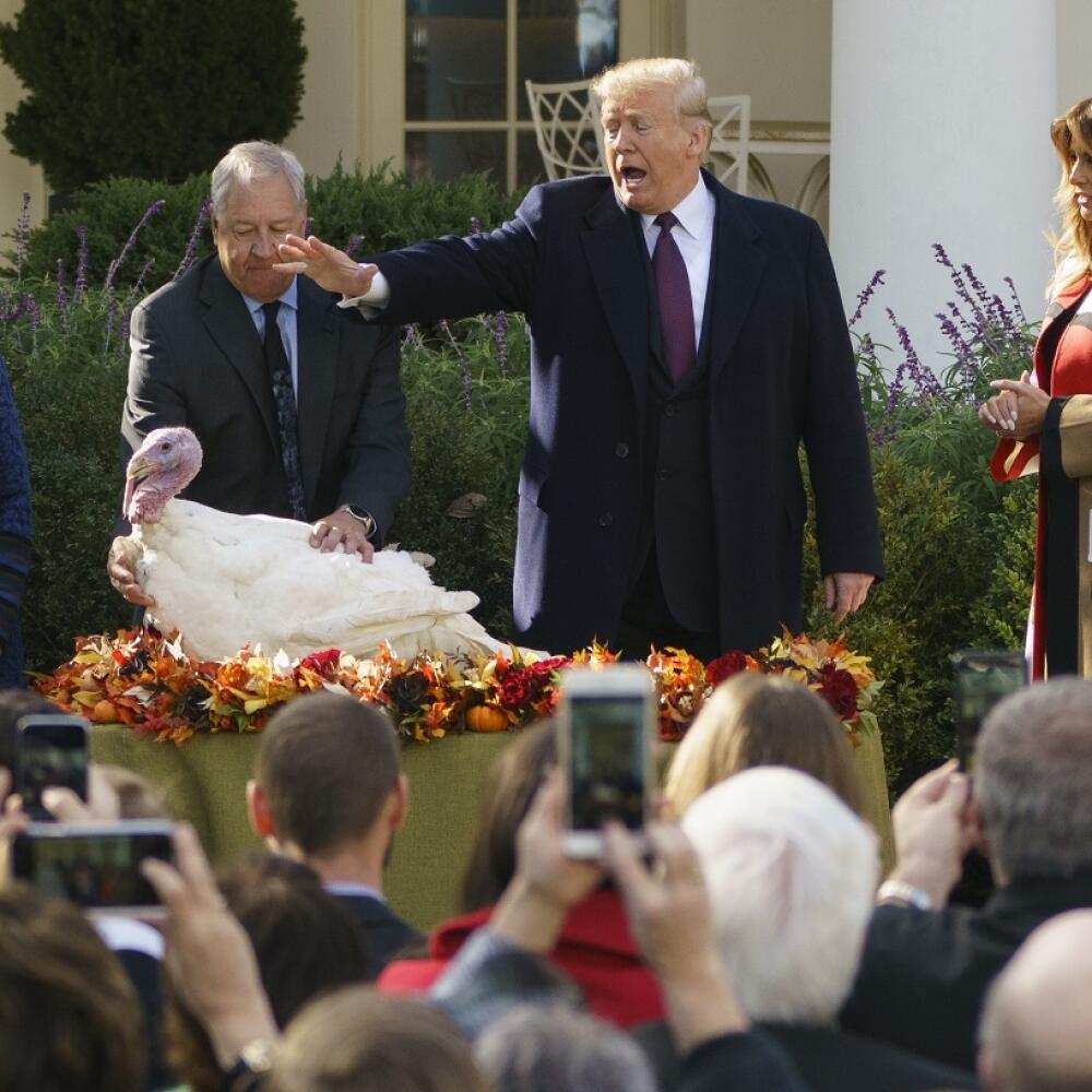 SY 30 Washington - Americký prezident Donald Trump (druhý sprava) v spoločnosti manželky Melanie (vpravo) udeľuje v súlade s tradíciou v predvečer Dňa vďakyvzdania milosť moriakovi v Ružovej záhrade Bieleho domu vo Washingtone 20. novembra 2018. FOTO TASR/AP
President Donald Trump pardons