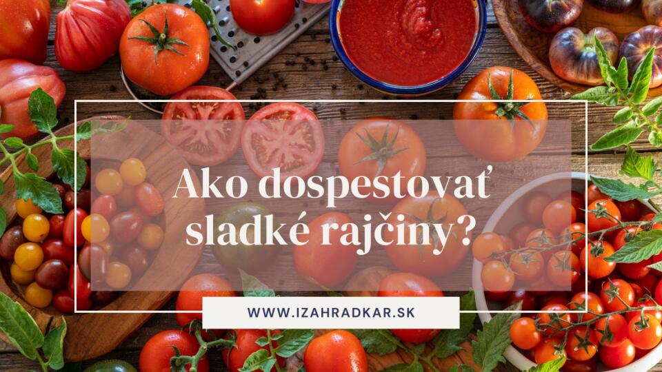 Rajčiny