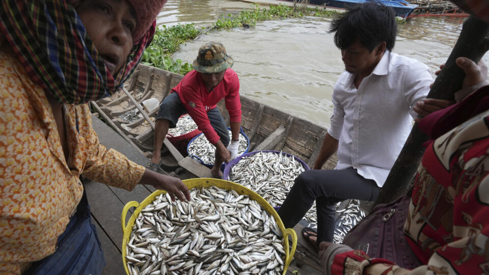 EBE 22 Phnom Pénh - Ľudia kupujú ryby na brehu rieky Tonle Sap počas sezóny rybolovu v dedine Toul Ampil na okraji mesta Phnom Pénh v Kambodži v pondelok 2. januára 2023. FOTO TASR/AP
People buy fish at the bank of the Tonle Sap river during the fish harvesting season in Toul Ampil village on the outskirts of Phnom Penh, Cambodia, Monday, Jan. 2, 2023. Cambodians catch fish for making pickled fish called