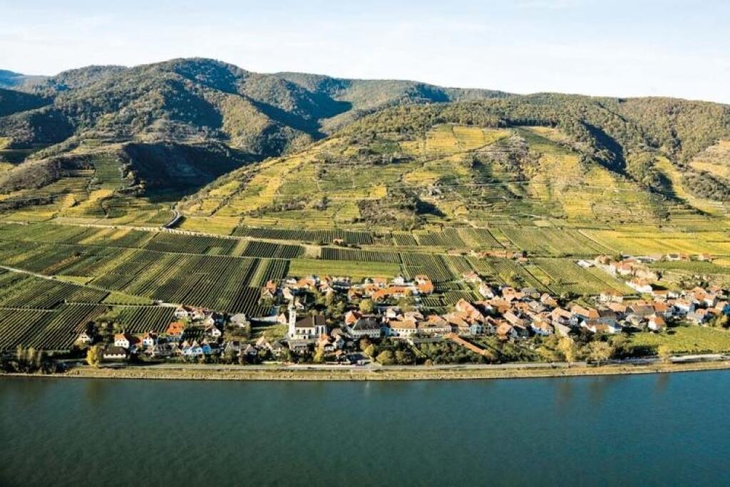 Veltlín nemusí byť len jednoduchý