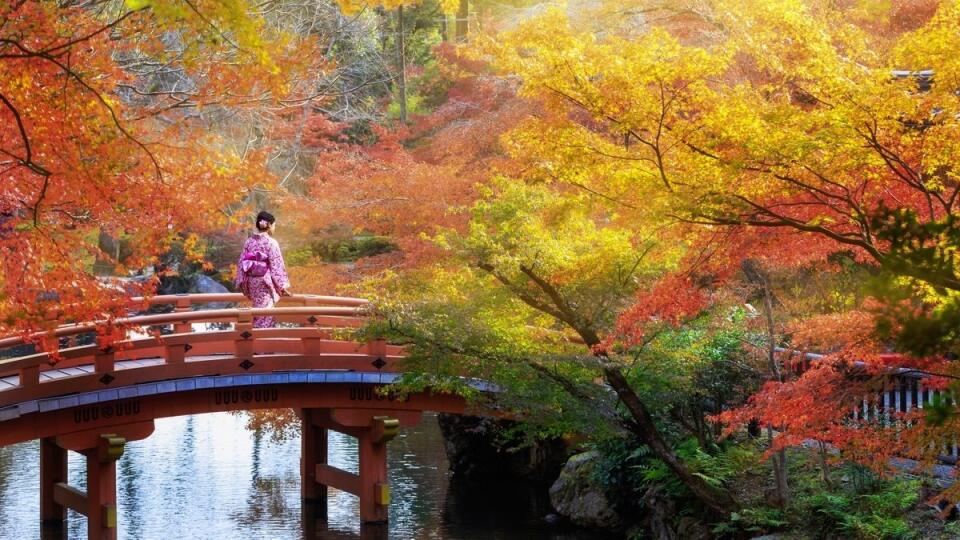 V Japonsku sa nikto nefláka.