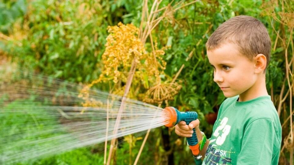 Pokiaľ sa rozhodnete použiť vodu zo studne, popolievajte ňou okrasnú časť záhrady. Aby ste predišli škodám z tepelného šoku, zamerajte sa na teplotu vody.