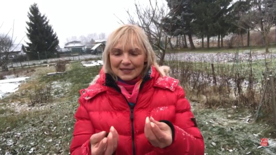 Chcete si pritiahnuť do života bohatstvo? Teraz sa dozviete, či platiť kartou alebo v hotovosti