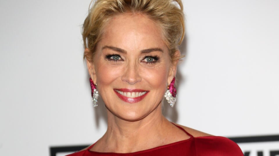 Herečka a modelka Sharon Stone