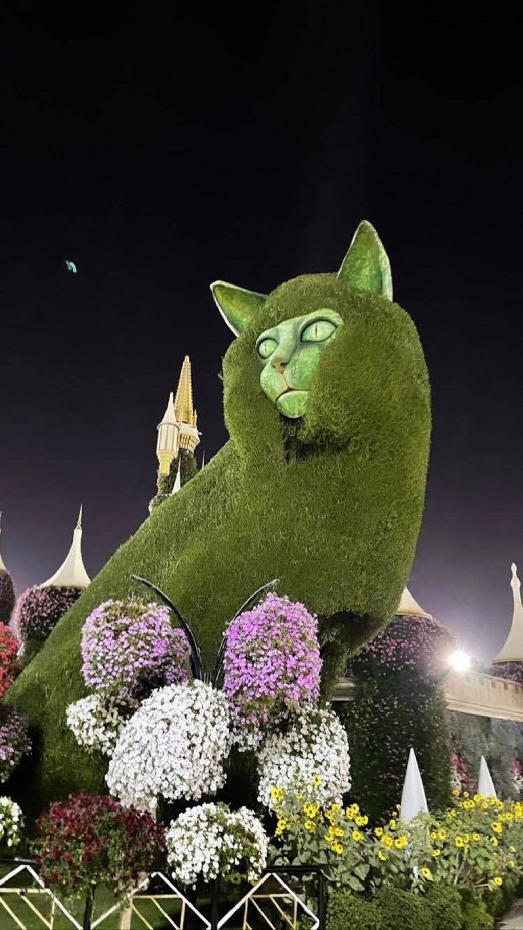 Twiinsky navštívili nádherné záhrady v Dubaji.