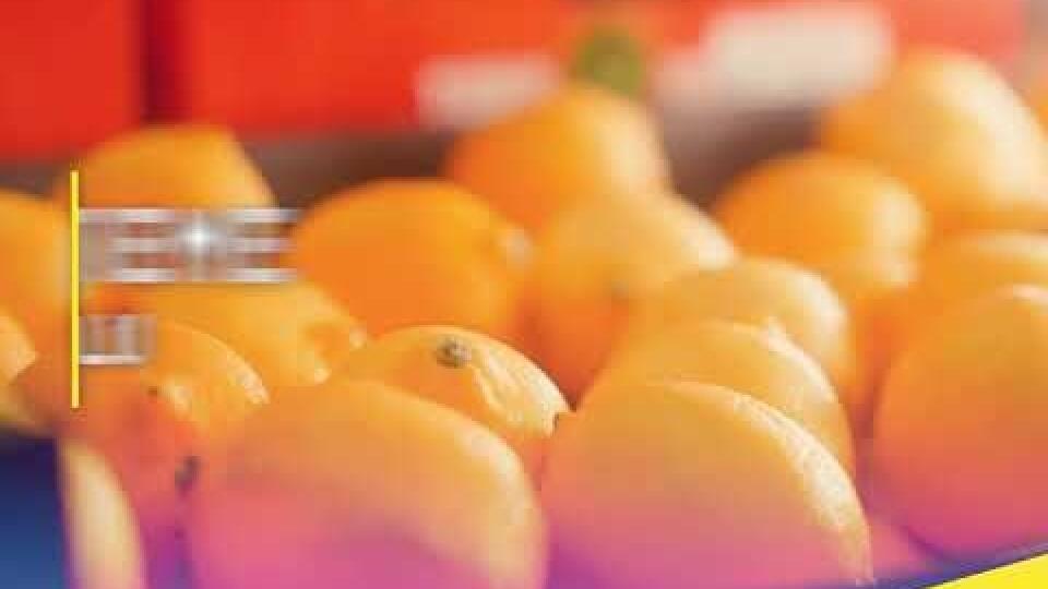 Čo pre Vás znamená úspech? Na túto otázku odpovedali dvaja zákazníci a dvaja dodávatelia METRO Cash & Carry SR.