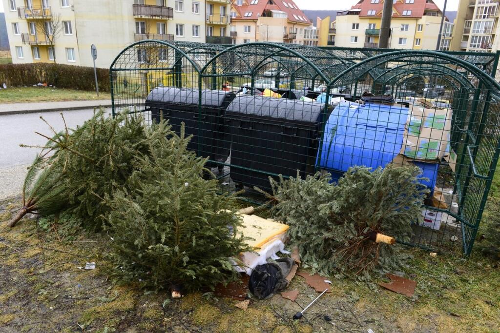 Vianočné stromčeky po sviatkoch