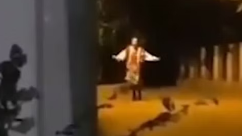 Serbian dancing lady alebo srbská tancujúca babička sa stala mrazivým fenoménom internetu a šíri sa nielen medzi deťmi.