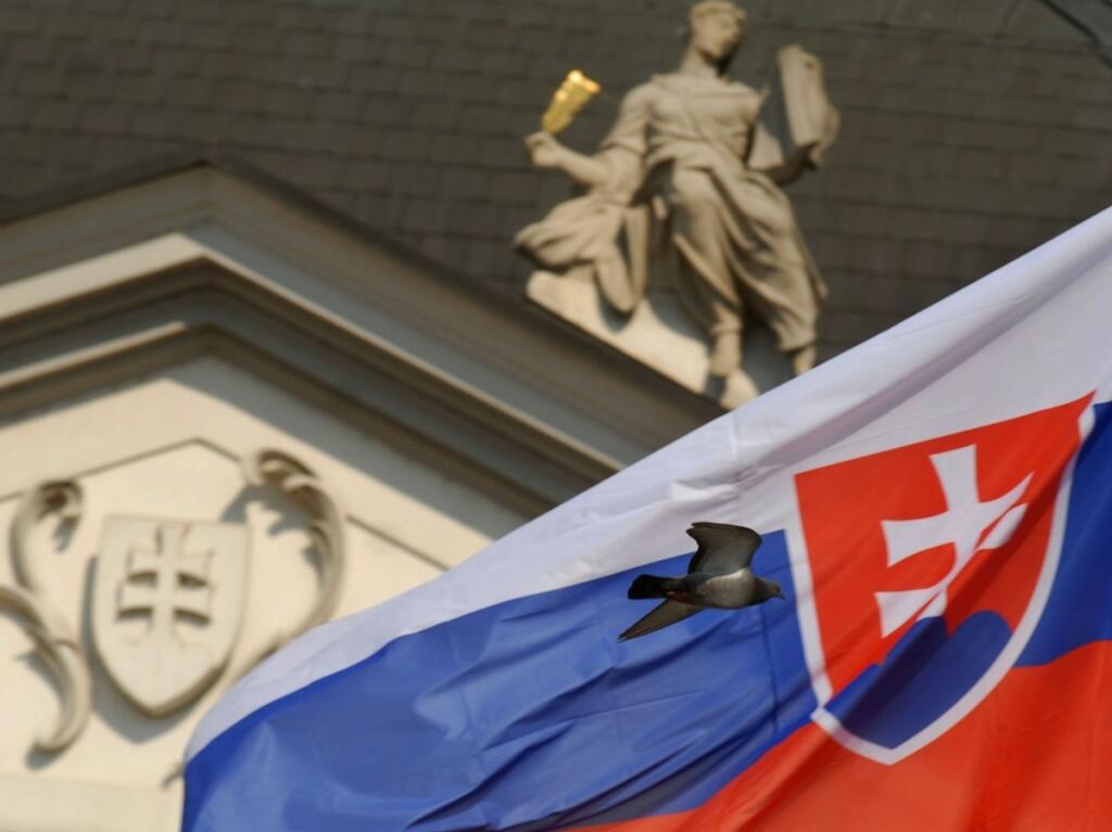 Nové pojmy aj pokuty. SNS chce meniť zákon o štátnych symboloch
