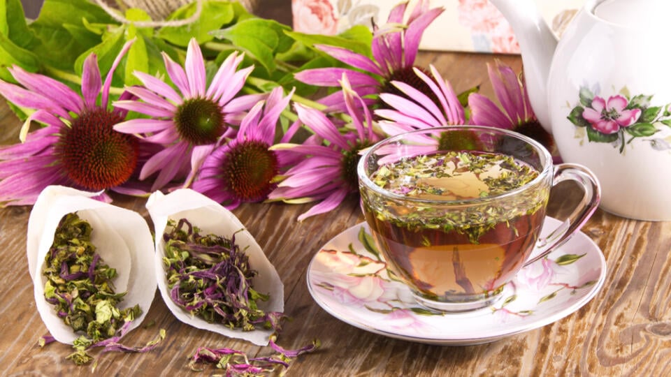 Echinacea
Ďalšou rastlinkou, ktorá pomáha činnosti imunity, je echinacea. Dostupná je v rôznych formách a vraj dokáže skrátiť dobu prechladnutia o viac ako polovicu.