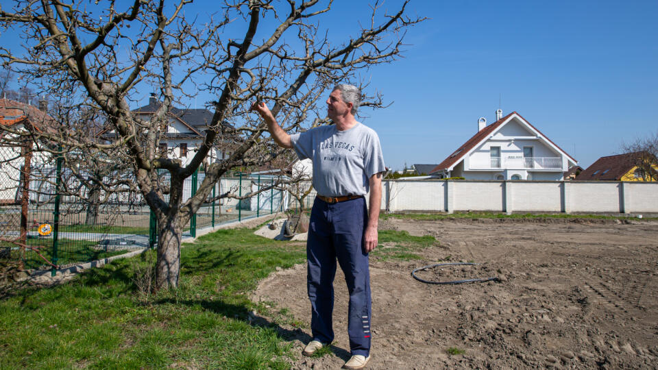 Na snímke je Béla Bugár pri jarných prácach vo svojej záhrade v Šamoríne. 