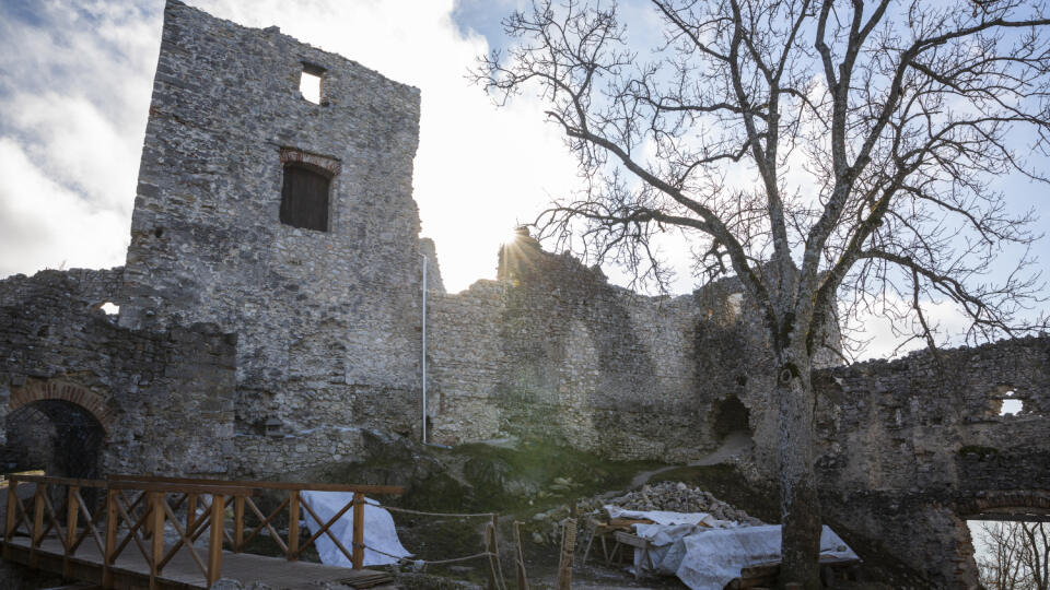 Na snímke zrúcanina hradu Tematín, ktorého prvé murované stavby boli vybudované okolo roku 1250 a pustne od roku 1710. Nachádza sa na západnom Slovensku v pohorí Považský Inovec. Dobrovoľníci z OZ Hrad Tematín pracujú od roku 2007 na konzervácii jednotlivých budov. V Hrádku 17. januára 2020. FOTO TASR - Jaroslav Novák