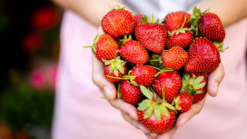 Jahody počas sezóny jedzte každý deň, pomôžu proti tlaku i cholesterolu.