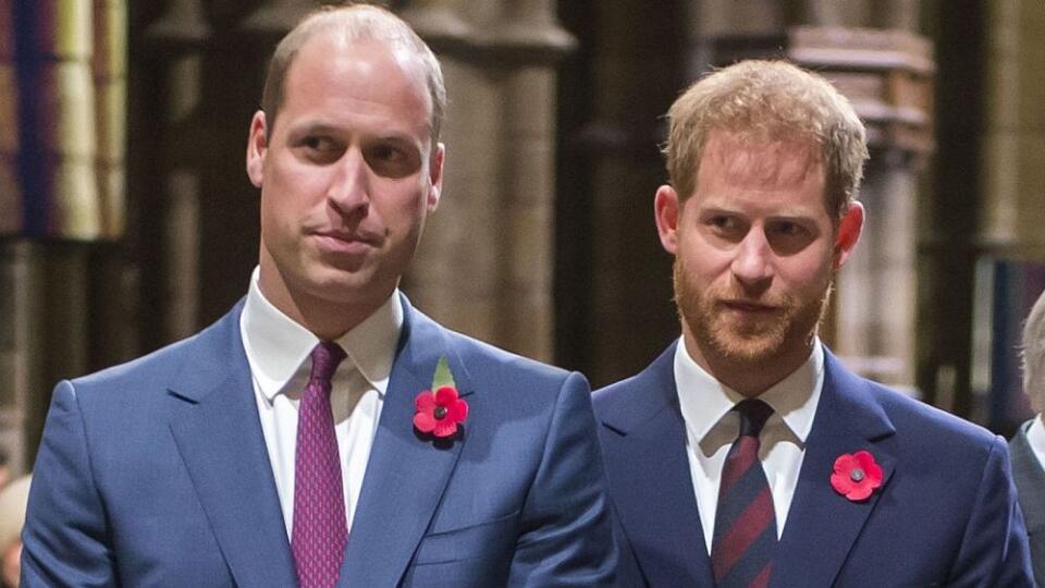 Princ William,princ Harry