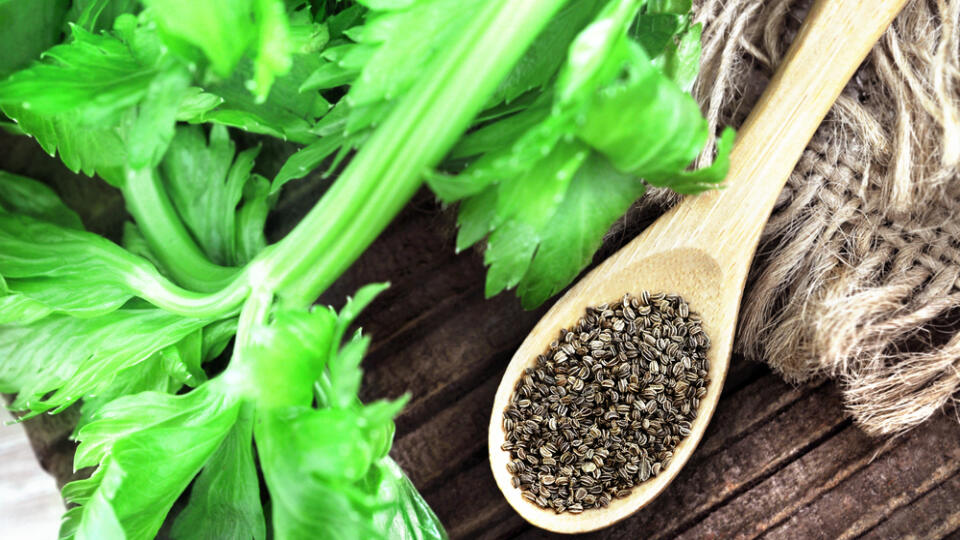 Celery,Seeds,In,Spoon,On,Wooden,Background,,Selective,Focus