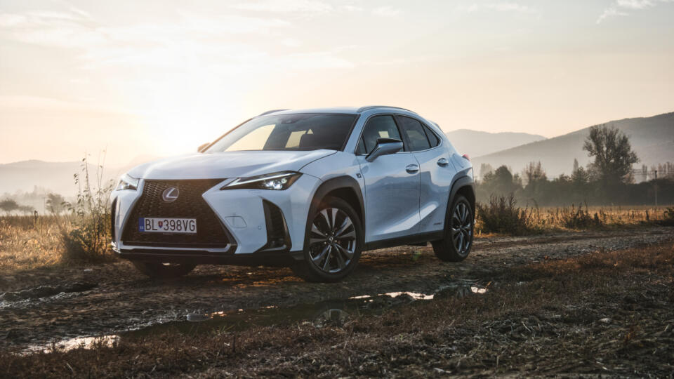 Lexus UX 250h F Sport Top AWD